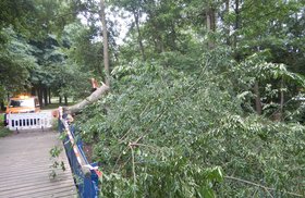 Blick auf die gesperrte Rad- und Fußgängerbrücke im Siebensternweg in Krusenbusch, auf die der Baum gestürzt ist. Bild: Stadt Oldenburg