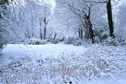 Der Oldenburger Schlossgarten im Winterkleid: Foto: Hans-Jürgen Zietz Der Oldenburger Schlossgarten im Winterkleid: Foto: Hans-Jürgen Zietz