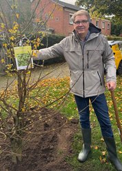 Oberbürgermeister Jürgen Krogmann pflanzte am Samstag, 2. November, dem Tag des Baumes, eine Mehlbeere auf dem Spielplatz Hullmannstraße. Foto: Stadt Oldenburg