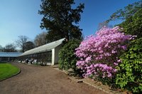 Blühende Büsche und Sträucher im Schlossgarten. Foto: Hans-Jürgen Zietz