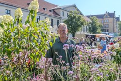 Blick über den Wochenmarkt auf dem Pferdemarkt. Foto: Sascha Stüber