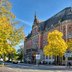 Vorschau: Stadtbäume in bunten Herbstfarben in Oldenburg. Foto: Hans-Jügen Zietz