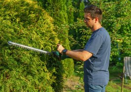 Ein Mann schneidet eine Hecke zurück. Foto: Aleksander Dumała/Pexels