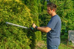 Ein Mann schneidet eine Hecke zurück. Foto: Aleksander Dumała/Pexels