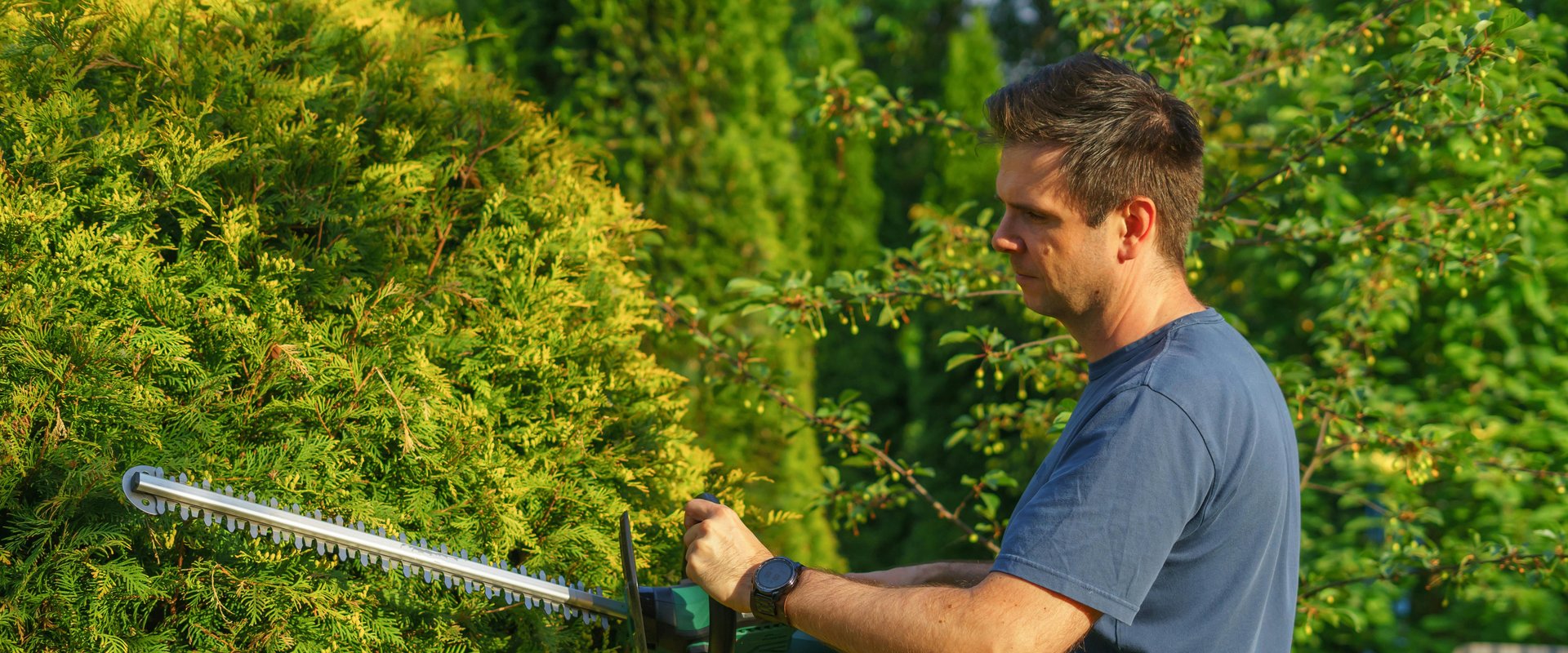 Ein Mann schneidet eine Hecke zurück. Foto: Aleksander Dumała/Pexels