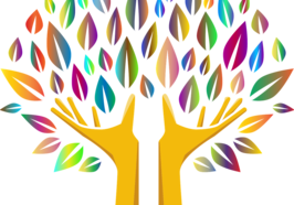 Zeichnung: Zwei ausgestreckte Hände bilden einen Baumstamm, die Finger werden zu Ästen, bunte Blätter formen eine Baumkrone. Grafik: GDJ/pixabay