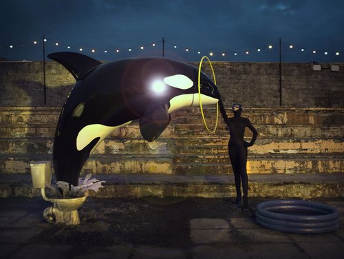 Kill a Whale. © Barry Cawston