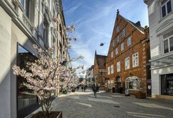 Frühlingsblüten an der Langen Straße in Oldenburg. Foto: Hans-Jürgen Zietz