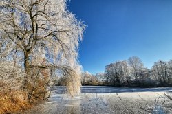 Wintertag am Bürgerfelder Teich in Oldenburg. Foto: Hans-Jürgen Zietz