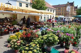 Wochenmarkt auf dem Pferdemarkt. Foto: Stadt Oldenburg