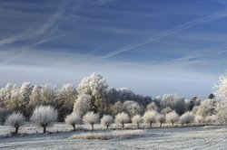 Das Landschaftsschutzgebiet Buschhagenniederung im Winter. Foto: Hans-Jürgen Zietz