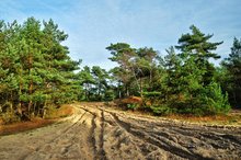Sandkasten im XXL-Format: Der Truppenübungsplatz Oldenburg-Bümmerstede. Foto: Hans-Jürgen Zietz Sandkasten im XXL-Format: Der Truppenübungsplatz Oldenburg-Bümmerstede. Foto: Hans-Jürgen Zietz
