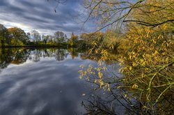 Buntes Herbstlaub am Bürgerfelder Teich in Oldenburg. Foto: Hans-Jürgen Zietz