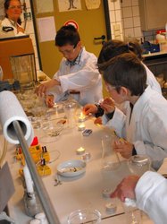 Kinder experimentieren bei Chemol. Quelle: Chemielabor Universität Oldenburg Kinder experimentieren bei Chemol. Quelle: Chemielabor Universität Oldenburg