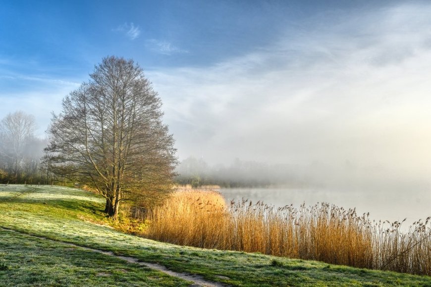 Flussufer mit Nebel. Foto: Hans-Jürgen Zietz