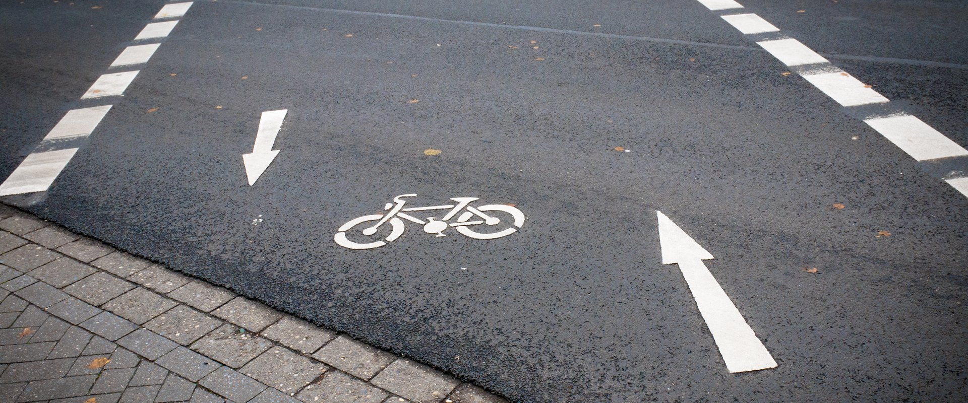Fahrradpiktogramm mit zwei Pfeilen auf einem Radweg. Foto: Duddek