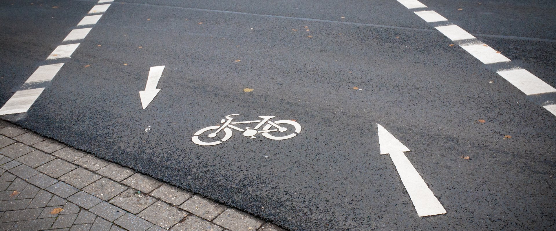 Fahrradpiktogramm mit zwei Pfeilen auf einem Radweg. Foto: Duddek
