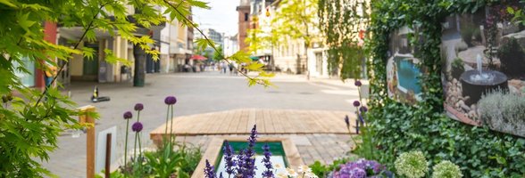 Blick von einem Stadtgarten in Richtung Lappan. Foto: OTM/Mario Dirks