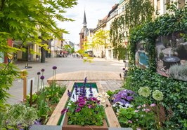 Blick von einem Stadtgarten in Richtung Lappan. Foto: OTM/Mario Dirks