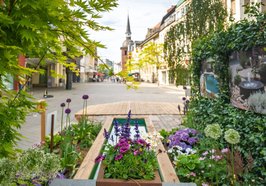 Blick von einem Stadtgarten in Richtung Lappan. Foto: OTM/Mario Dirks