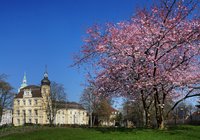 Blühende Büsche und Sträucher im Schlossgarten. Foto: Hans-Jürgen Zietz
