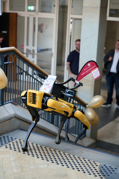 Der Laufroboter Cyberus geht die Treppe im PFL hoch. Foto: Foto- und Bilderwerk