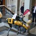 Vorschau: Der Laufroboter Cyberus geht die Treppe im PFL hoch. Foto: Foto- und Bilderwerk