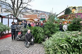 Die Schaustellerinnen und Schausteller verschenkten in diesem Jahr am letzten Tag des Lamberti-Marktes insgesamt 120 ungeschmückte Weihnachtsbäume. Foto: Sascha Stüber