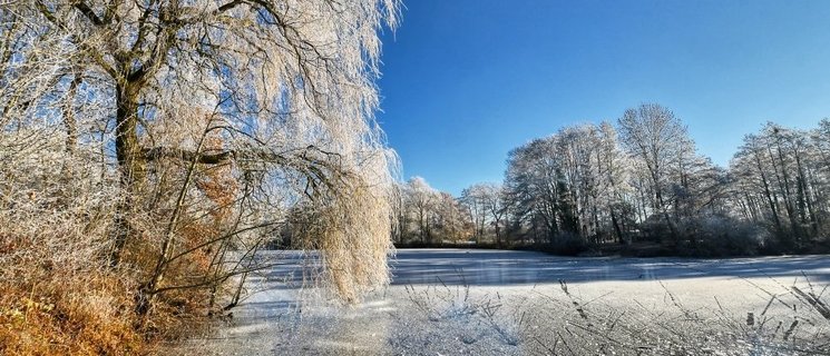 Wintertag am Bürgerfelder Teich in Oldenburg. Foto: Hans-Jürgen Zietz