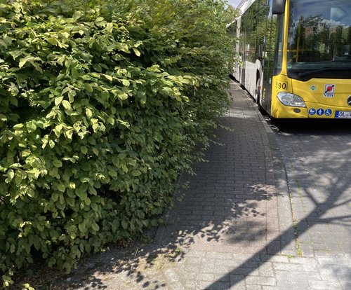 Foto: Stadt Oldenburg