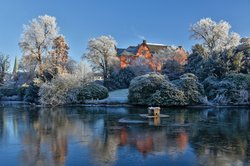 Blick über den zugefrorenen Schlossgartenteich auf das Elisabeth-Anna-Palais. Foto: Hans-Jürgen Zietz