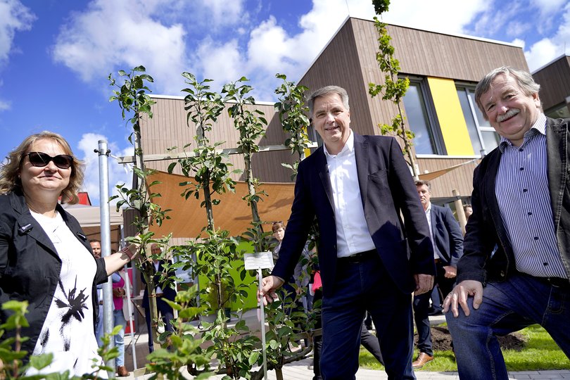 Oberbürgermeister Jürgen Krogmann (Mitte) überreichte Einrichtungsleitung Kerstin Schloßhauer und Wolfgang Wulf, stellvertretender Präsidiumsvorsitzender AWO Weser-Ems, zur Eröffnung einen Apfelbaum. Foto: AWO Weser-Ems