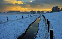 Spätwinter an der Hunteniederung. Foto: Hans-Jürgen Zietz