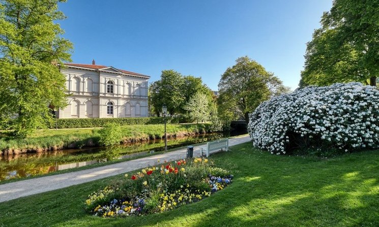 Frühlingsblüten vor der Wallschule in den Oldenburger Wallanlagen. Foto: Hans-Jürgen Zietz