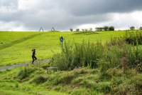 Wiese beim Utkiek. Foto: Mittwollen und Gradetchliev