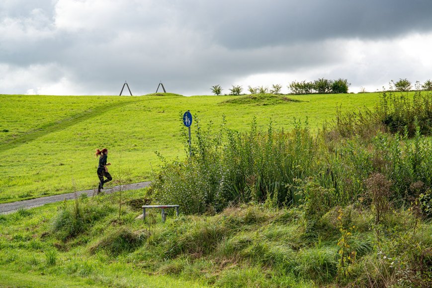 Wiese beim Utkiek. Foto: Mittwollen und Gradetchliev