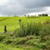 Vorschau: Wiese beim Utkiek. Foto: Mittwollen und Gradetchliev
