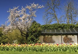 Frühlingsblüten und Mosaike im Oldenburger Schlossgarten. Foto: Hans-Jürgen Zietz