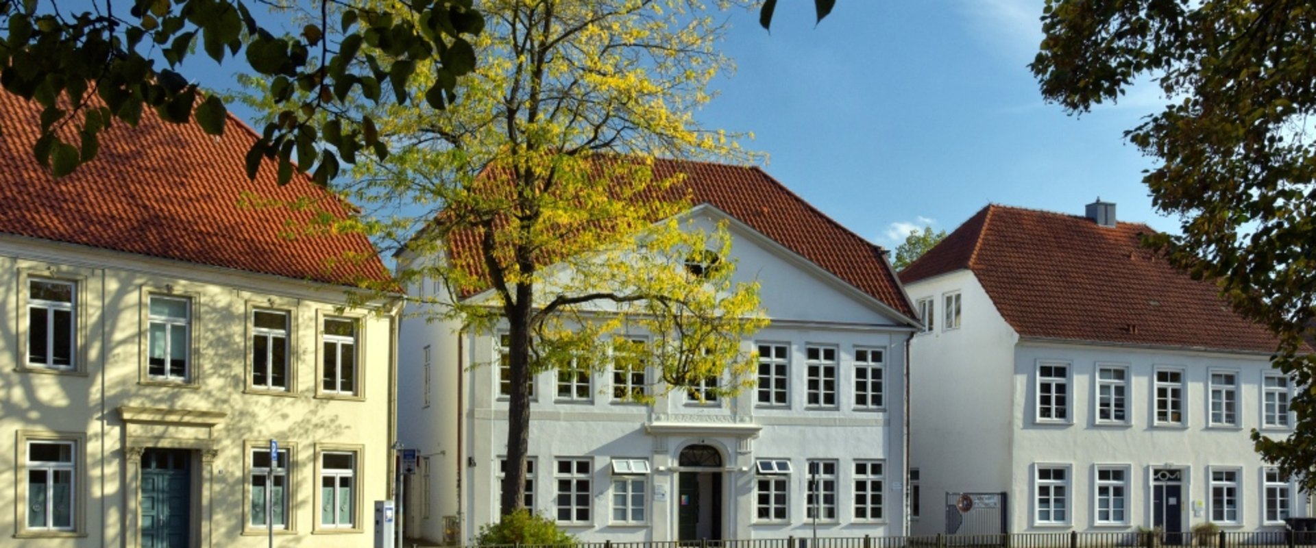Stadtbäume in bunten Herbstfarben in Oldenburg. Foto: Hans-Jügen Zietz
