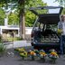 Vorschau: Blumen auf dem Wochenmarkt in Kreyenbrück. Foto: Sascha Stüber