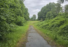 Blick auf die ehemalige Schießbahn auf dem Fliegerhorst. Foto: Stadt Oldenburg