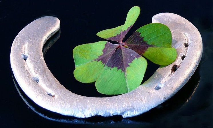 Hufeisen und Kleeblatt. Foto: Kurt F. Domnik/Pixelio.de
