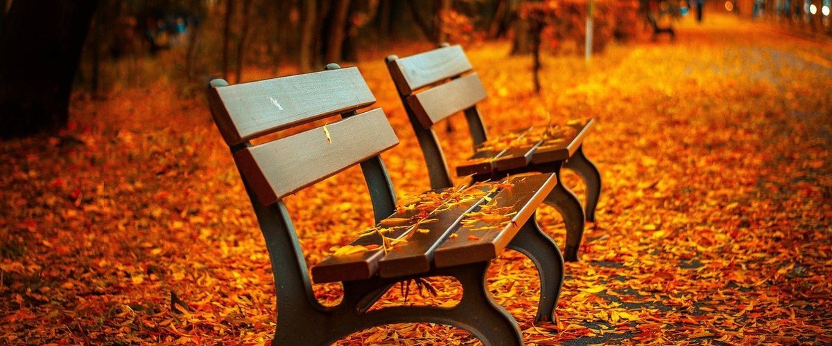 Zwei Parkbänke stehen im Laub Foto: pepperminting/Pixabay.com