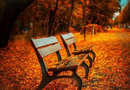 Zwei Parkbänke stehen im Laub Foto: pepperminting/Pixabay.com