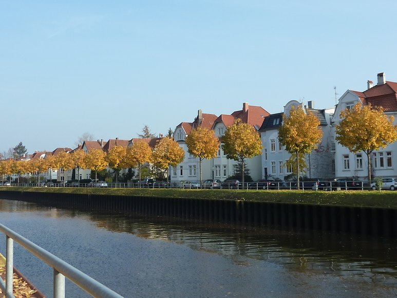 Bäume an der Uferstraße. Foto: Stadt Oldenburg