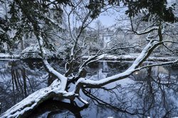 Winter im Schlossgarten von Oldenburg. Foto: Hans-Jürgen Zietz