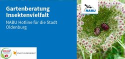 Deckblatt Flyer Gartenberatung Insektenvielfalt NABU, Stadt Oldenburg