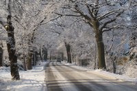 Die Ekernstraße. Foto: Werner Fuhlrott