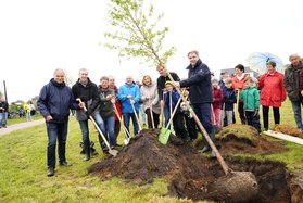 Pflanzaktion zum  Tag des Baumes in Eversten. Ein Baum wird gesetzt. Foto: Stadt Oldenburg