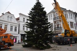 Der Tannenbaum am Lefferseck ist aufgerichtet. Foto: Stadt Oldenburg